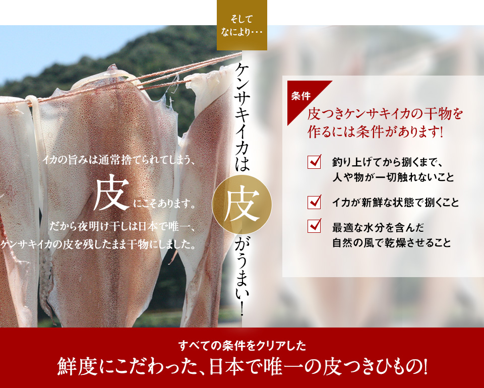 そしてなにより・・・ケンサキイカは皮がうまい！すべての条件をクリアした鮮度にこだわった、日本で唯一の皮つきひもの！